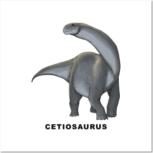 Cetiosaurus Posters and Art